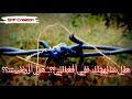 "'Ala Nahjik Mashayt (على نهجك مشيت)"
Maher zain arabic status "'Ala Nahjik Mashayt (على نهجك مشيت)"
Maher zain arabic status
