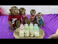 Obedient Dodo Mori Donal And Moly Sitting Wait Mom Mixed Milk