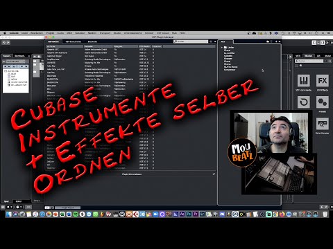 Cubase 11 Tips & Tricks - Ordnerstrucktur für VST Instrumente & VST Plugins  (UAD) selbst  erstellen