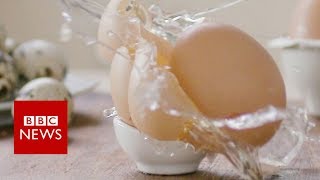 Food allergies - seven myths debunked- BBC News