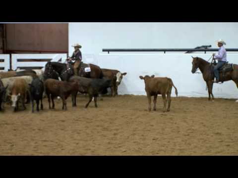 Sioux me mama - Herd