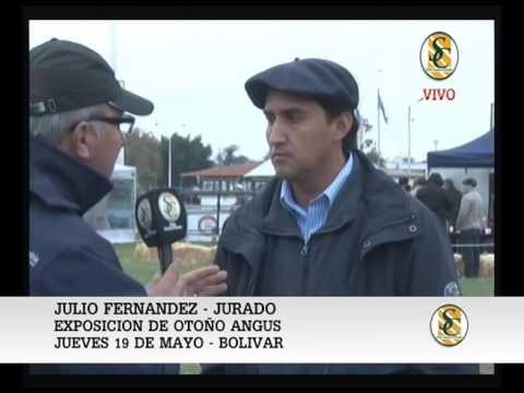 19-05-16 NOTA JULIO FERNANDEZ - JURADO 02 - EXPO BOLIVAR - BOLIVAR