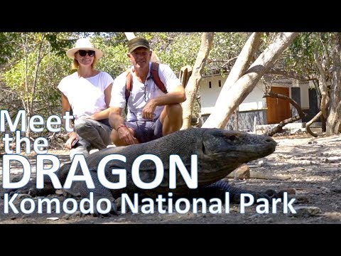Meet the DRAGON - Komodo National Park / Sailing Aquarius #64