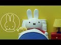 Miffy Has The Flu Miffy Friends