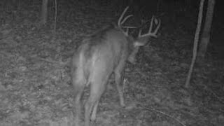 East TN deer hunting 2019 late season