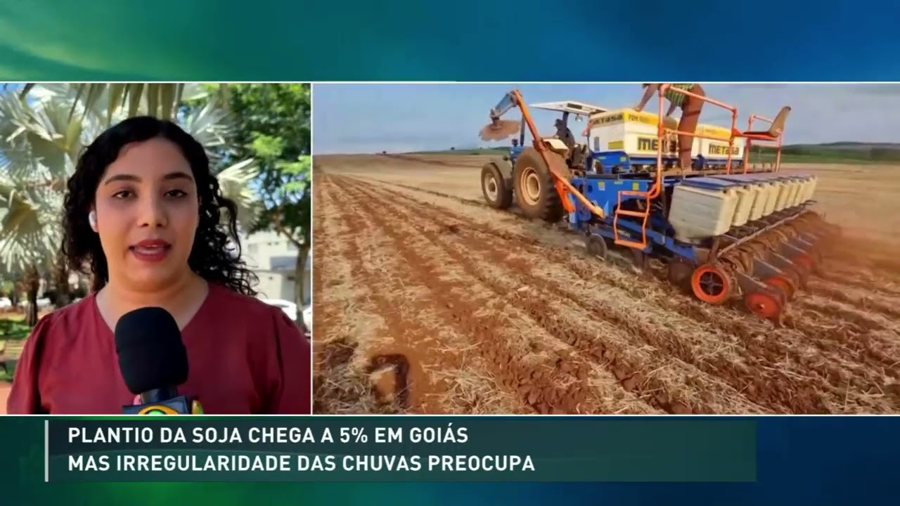 Soja 2026/27: irregularidade das chuvas preocupa produtores de Goiás