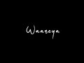 Waareya Blackscreen WhatsApp Status Diljit Dosanjh