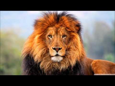 Ruby feat Morosanu & Dorian Popa | Lasa cucu n pace Nightcore