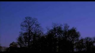 Alphaville - Big in Japan ( Extended Version )