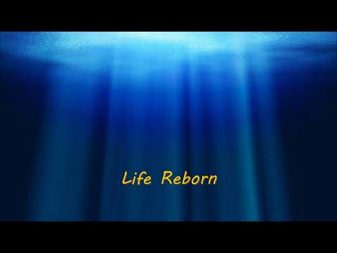 Marc Racordon - Life Reborn