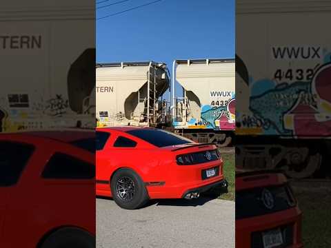 Angry 2013 Boss 302!! Forgestar F14 Drag Pack Mustang Boss 302!