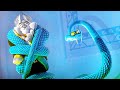 Zootennial Gala Scene ZOOTOPIA 2 2025 Movie CLIP HD