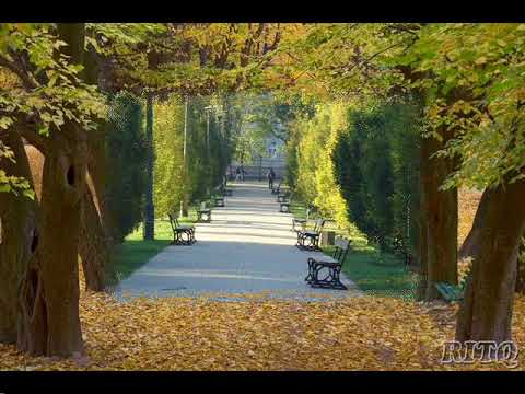 Irena Santor - Jesienna rozłąka