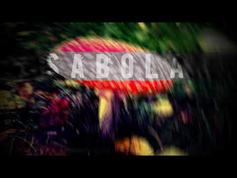 Sabola - Pečurka u travi