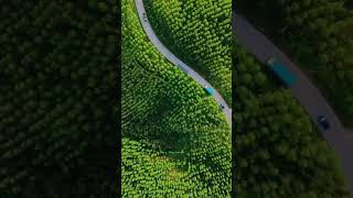 Download lagu Jalan Poros Tenggarong - Kota Bangun, Kutai Kartanegara mp3