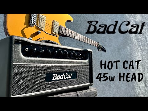Bad Cat Hot Cat 45-Watt Guitar Amp Head image 5