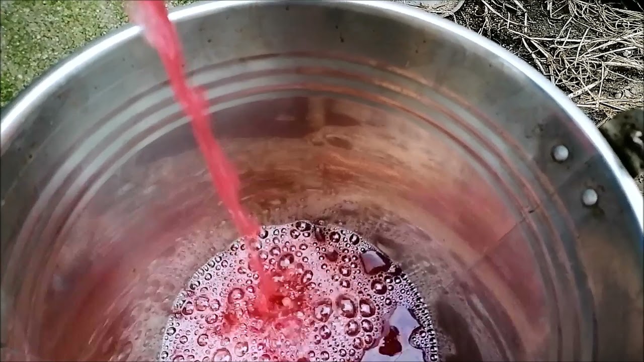 Cum facem vinul de casa,de la cules pana cand il bem