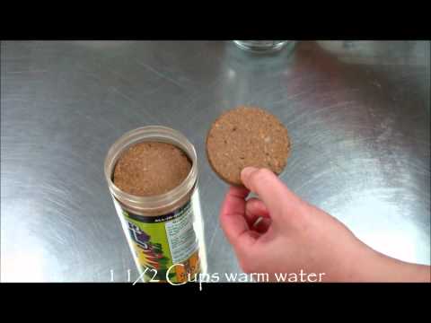 download lagu mp3 mp4 Wonder Soil Expand And Plant, download lagu Wonder Soil Expand And Plant gratis, unduh video klip Wonder Soil Expand And Plant