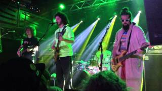 Pigeons Playing Ping Pong 8x10 2015 "Landing"