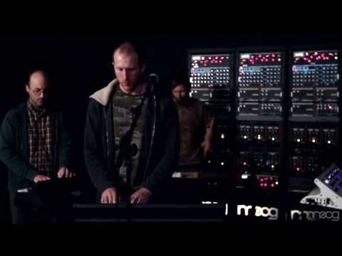 Lost in the Trees | Past Life  | Moog Sound Lab