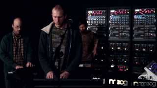 Lost in the Trees | Past Life  | Moog Sound Lab