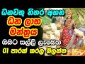 Danaya Labena Manthare ධන ලාභ මන්ත්‍රය Dana Lakshmi Money Mantra 100 GUARA