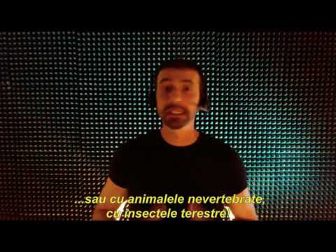 4 _RO_ (IT) {2} Despre sesiunile de hipnoză investigativă - Calogero Grifasi Disclosures