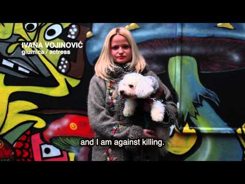 Ivana Vojinović - PROTIV UBIJANJA