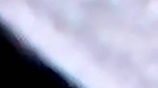 Galo PITBULL 2ª Parte...Vái MEXER COM QUEM TA QUIETO   KAKAKKAKAKA ME DIVIRTO rsrsrsrs....