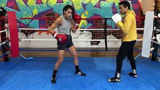 RIGHT CROSS punching technique - grounded position
