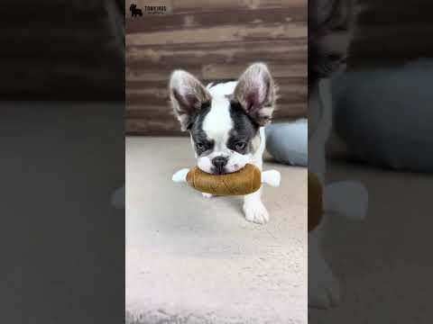 Video 3