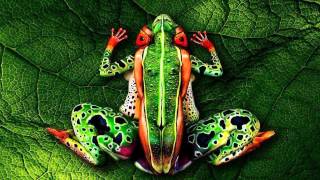 Bufo - Frog's Breath