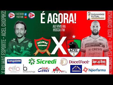 Campeonato Paranaense de Futsal - Série Ouro. PALMAS FUTSAL X ACEL CHOPINZINHO