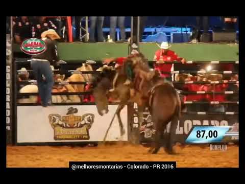 🇧🇷 Zeius Cruz Fonseca x Araguaia - Rodeio de Colorado 2016 #rodeio #rodeo #cutiano