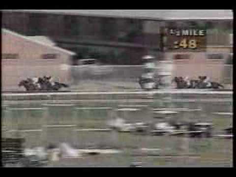 Cigar - 1995 Pimlico Special