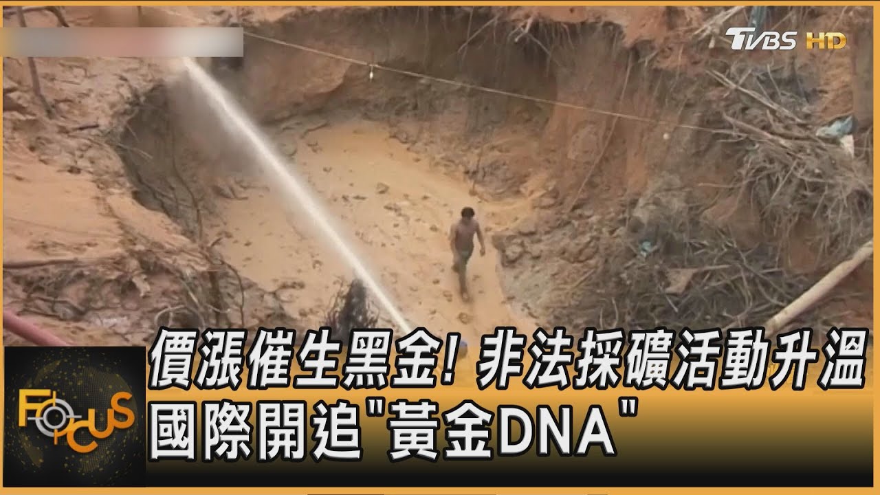 價漲催生黑金!非法採礦活動升溫 國際開追「黃金DNA」