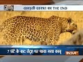 Gujarat: Forest officials rescue leopard after 7-hour-long operation