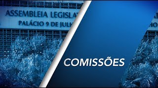 Comissão de Segurança Pública e Assuntos Penitenciários 07/08/2019 Parte 2 Comissão de Segurança Pública e Assuntos Penitenciários 07/08/2019 Parte 2