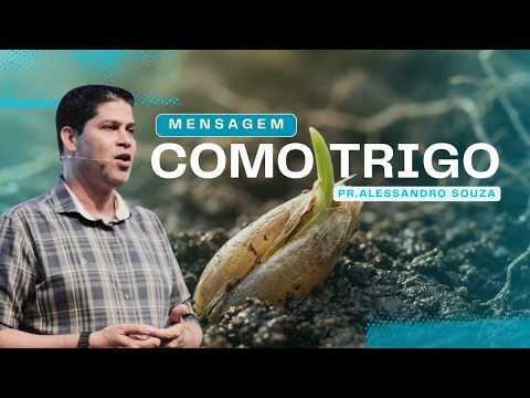 Como Trigo