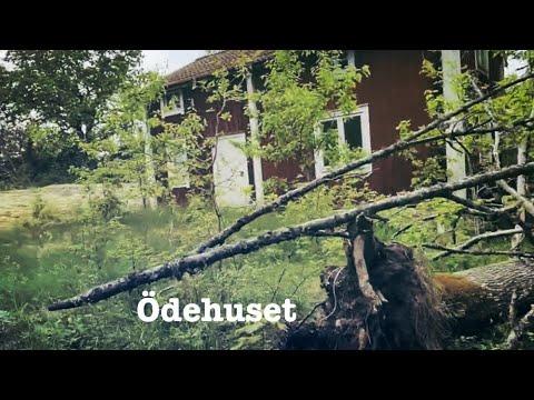 ÖDEHUS mellan RONNEBY och BRÄKNE-HOBY - 2022-05-29 - Blekinge - Huawei P40 pro plus