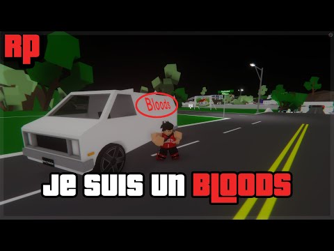 JE SUIS un BLOODS... (Premier BRAQUAGE) | Roblox Brook Haven Rp