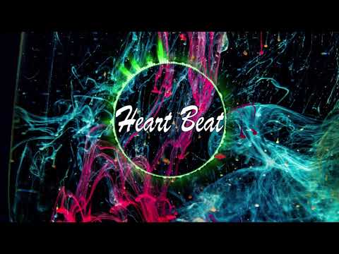 CT Project   Reptile