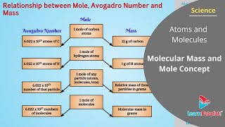 Atoms and Molecules Class 9 Science - Molecular Mass and Mole Concept