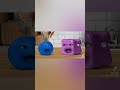 Joyful Plum Angry Cherry And Irritating Tomato Compilation