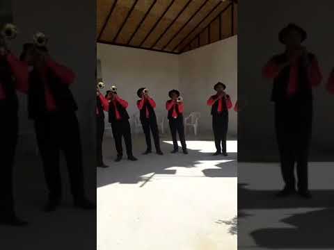 fanfara fastaci barzu