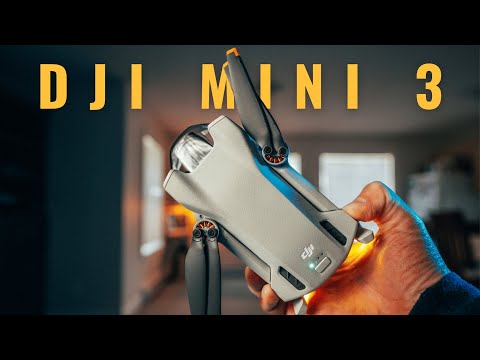 DJI Mini 3 Review: Is It Worth Buying in 2024?