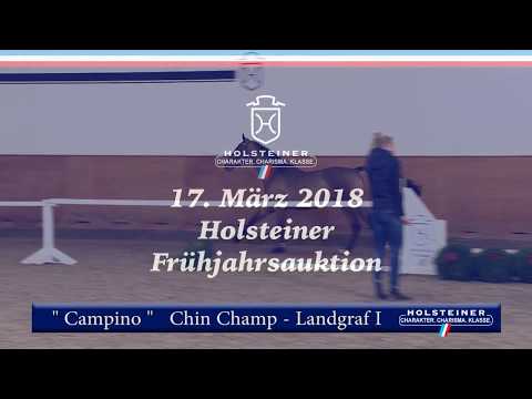 05 | Campino v. Chin Champ - Landgraf I