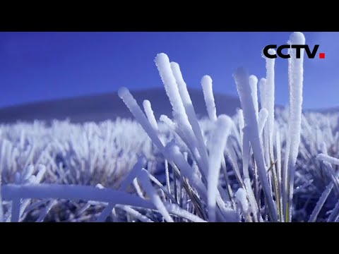 [4K] Bela vista! CFTV