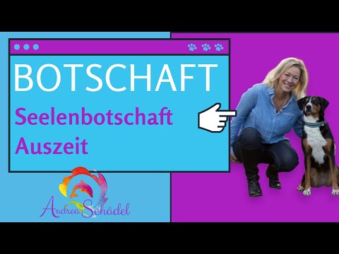 Botschaft verstorbene Tiere - Seelengespräch, Tierkommunikation mit verstorbenen Tieren