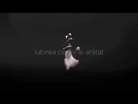 Dani Cîmpean - M-am depărtat